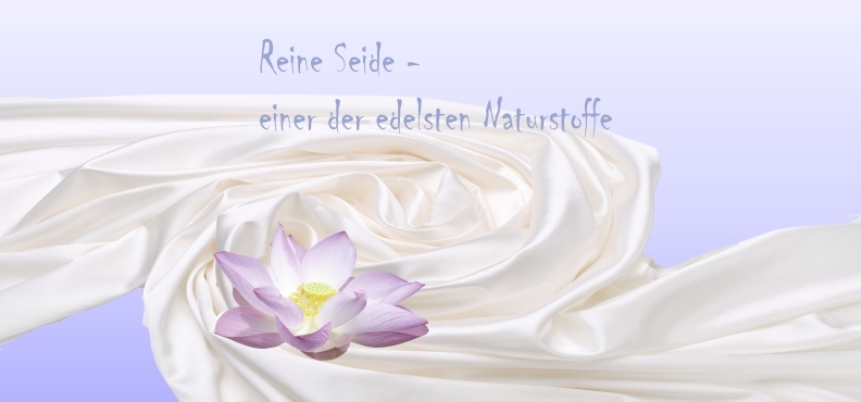 seide-desktop