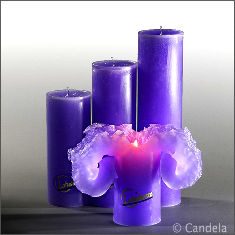 original lotuskerze violett lila
