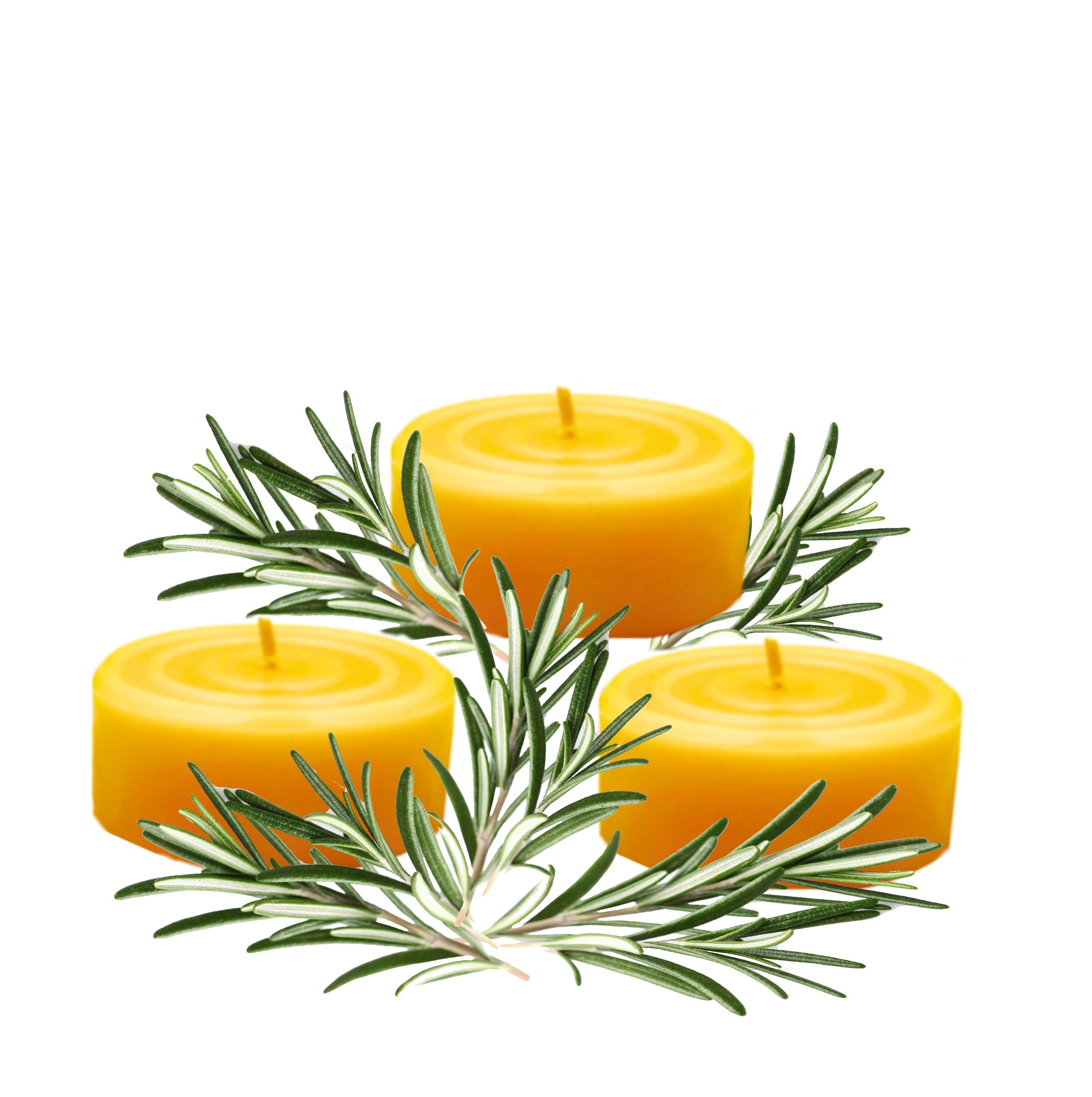 3 Maxi Teelichte, 100 % Bienenwachs, natur 3 Maxi Teelichte, 100 % Bienenwachs, natur