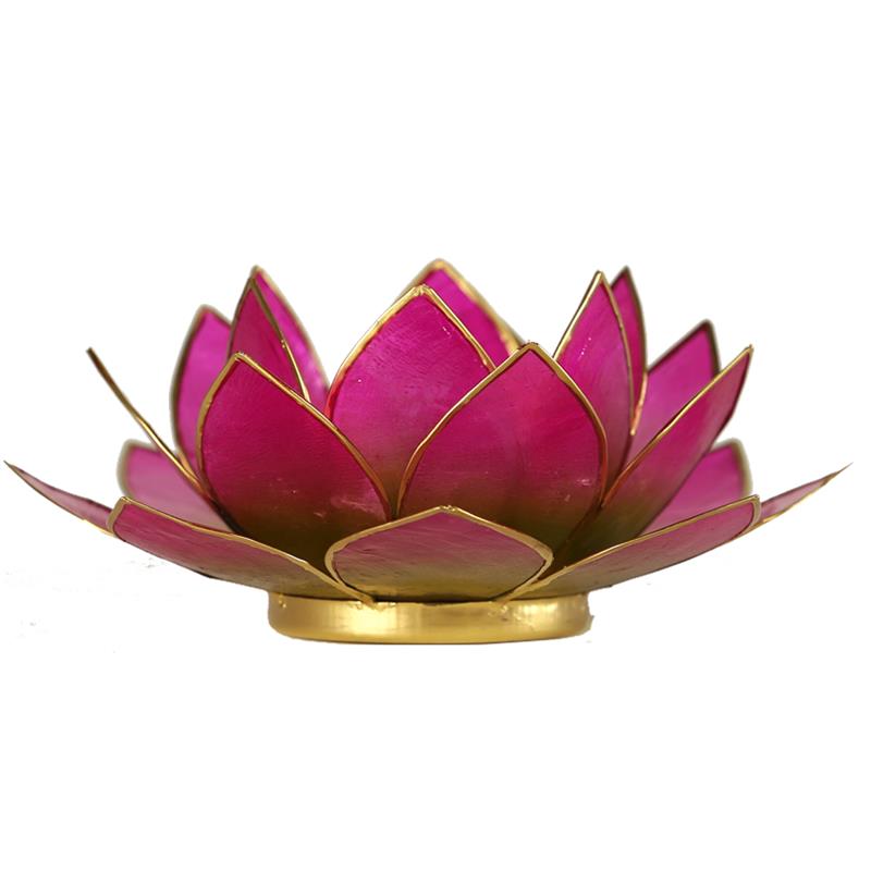 Lotus Teelichthalter purpur