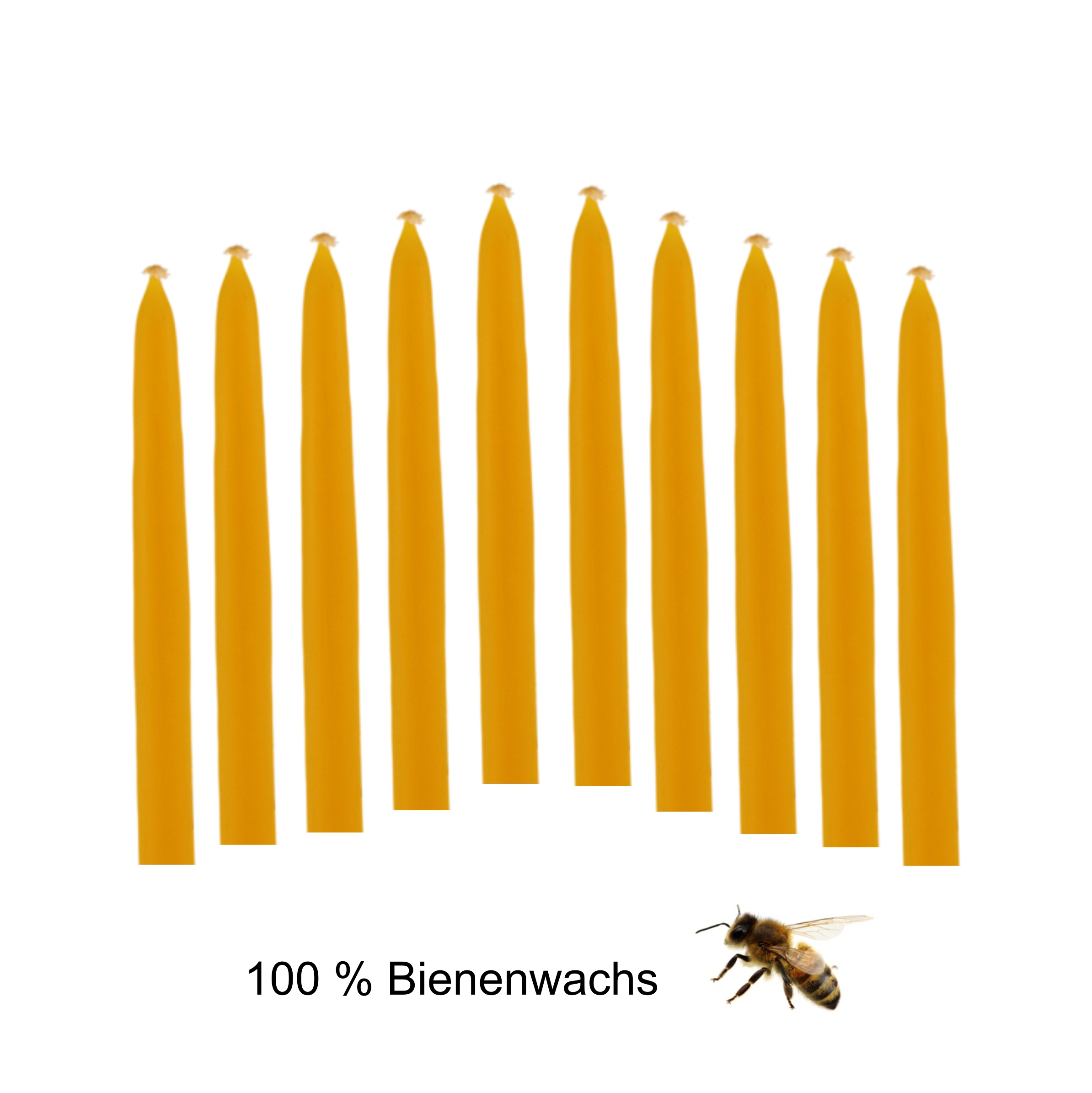 Baumkerzen natur, 10 Stück, 100 % Bienenwachs, mit Fidibus Baumkerzen natur, 10 Stück, 100 % Bienenwachs, mit Fidibus