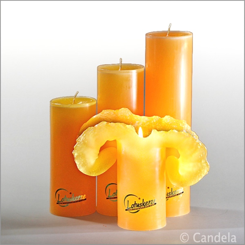 lotuskerze-gold original lotuskerze gold